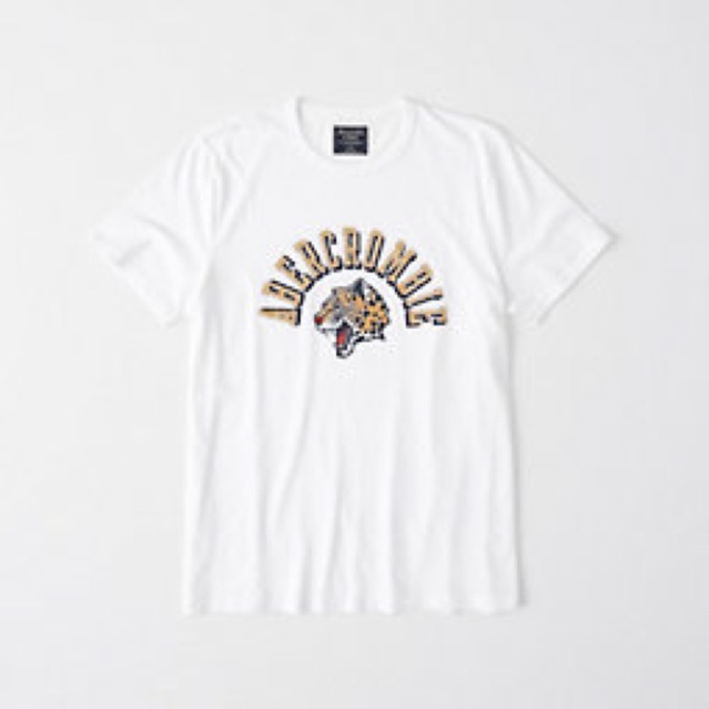 Abercrombie & Fitch White T-shirt men’s with logo